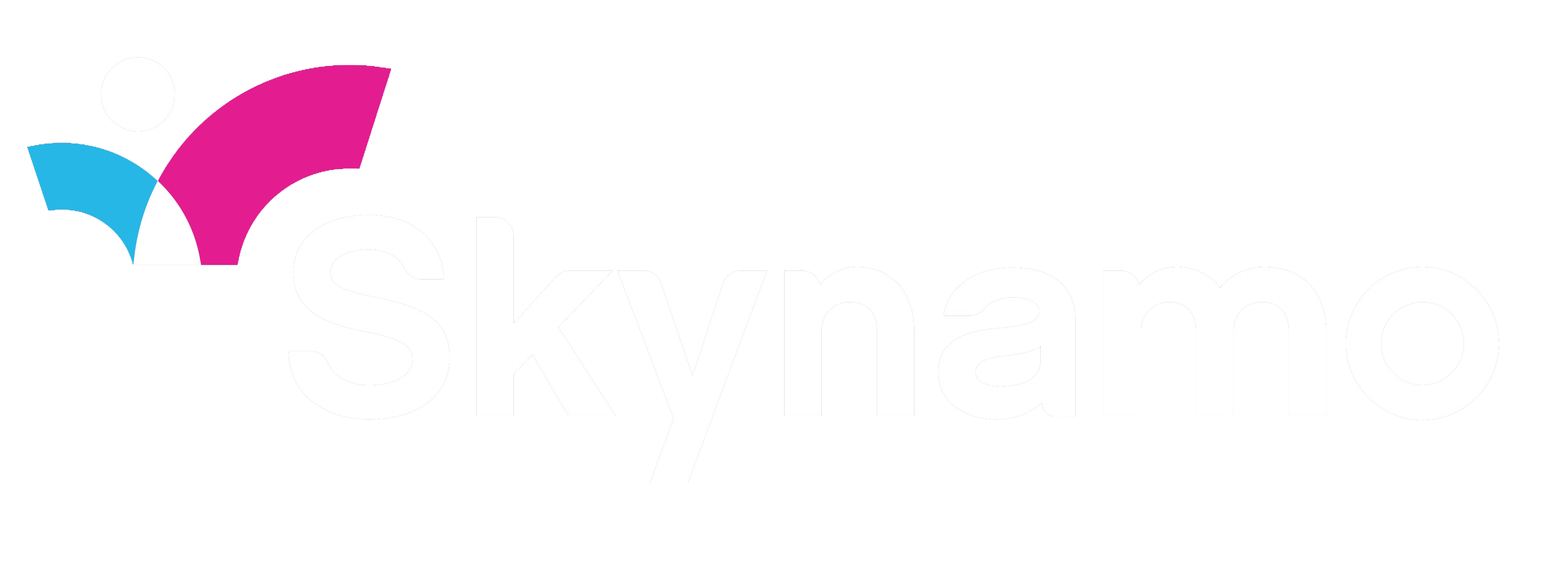 Skynamo logo